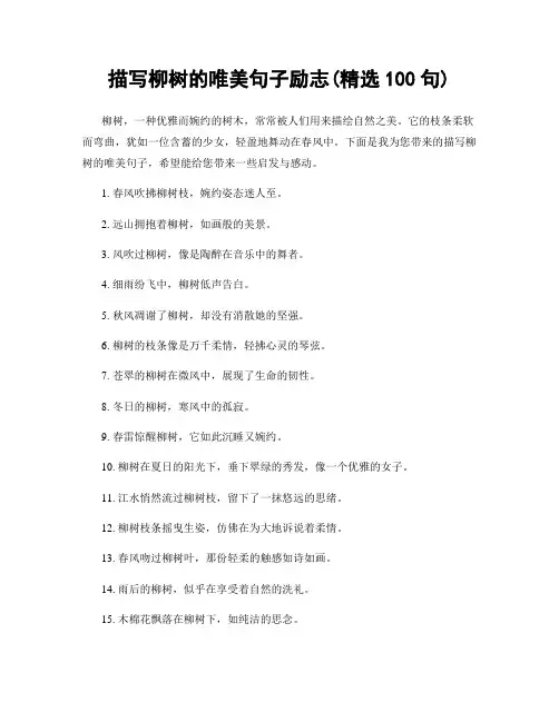 描写柳树的唯美句子励志(精选100句)