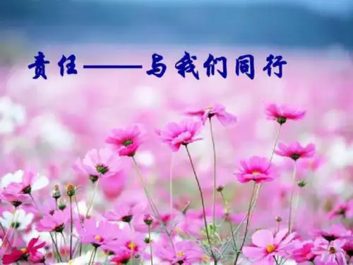 【精选课件】高三(28)班《责任,与我们同行》主题班会(23张PPT)