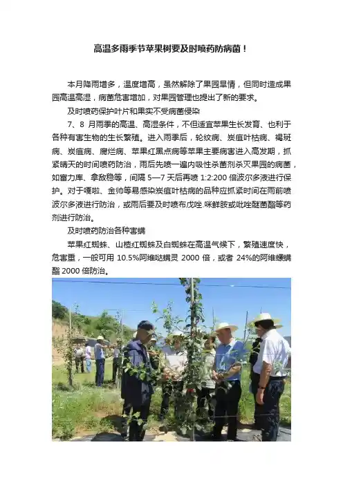 高温多雨季节苹果树要及时喷药防病菌！