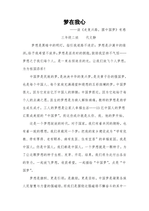 圆中国梦,走复兴路》读后感