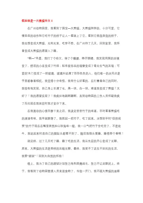 我想变成一只大熊猫作文三年级