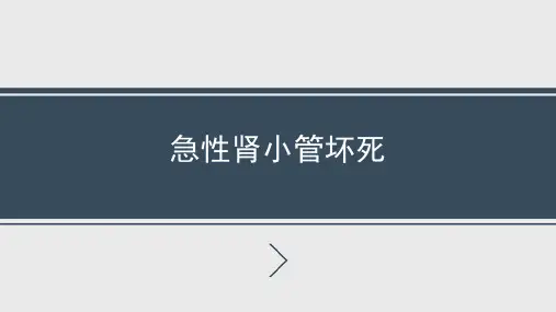 急性肾小管坏死---PPT精品课件