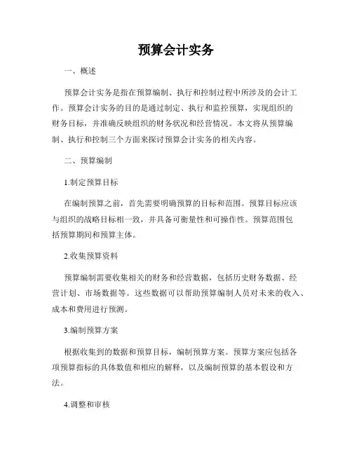 预算会计实务