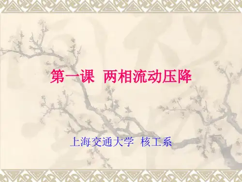 第四章(第一次课)  两相流动压降
