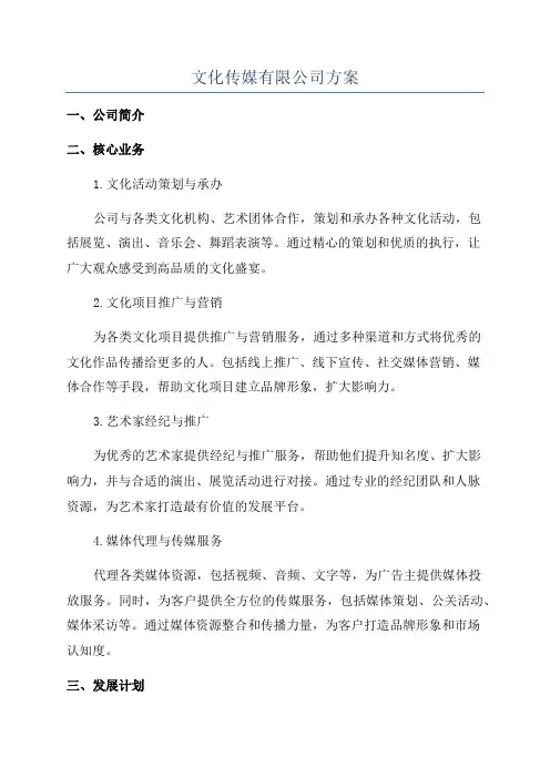 文化传媒有限公司方案