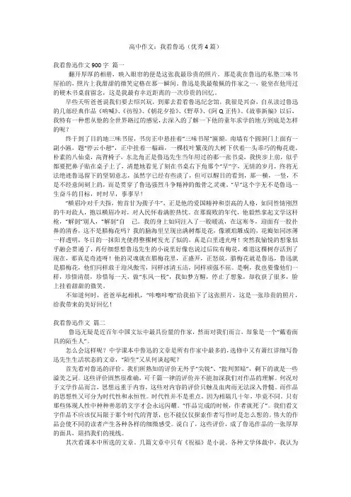 高中作文：我看鲁迅(优秀4篇)