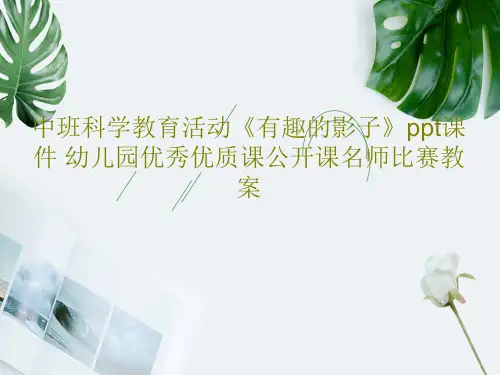 中班科学教育活动《有趣的影子》ppt课件 幼儿园优秀优质课公开课名师比赛教案PPT共23页