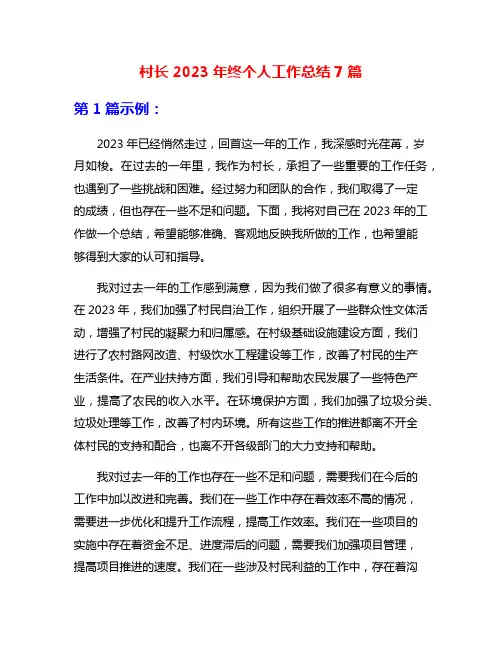 村长2023年终个人工作总结7篇