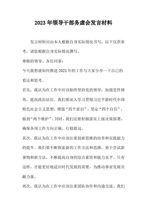 2023年领导干部务虚会发言材料