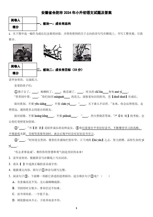 安徽省合肥市2024年小升初语文试题及答案