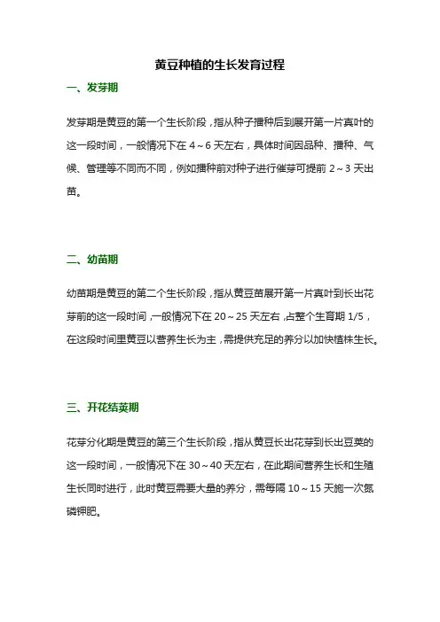 黄豆种植的生长发育过程