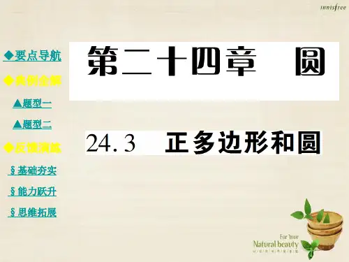 九级数学上册24.3正多边形和圆课件(新版)新人教版 (3)