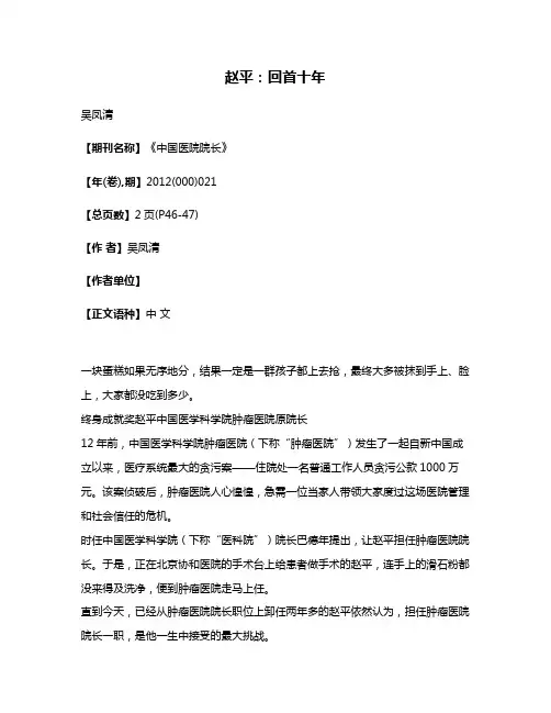 赵平:回首十年