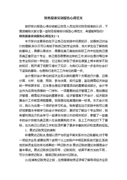 财务报表实训报告心得范文