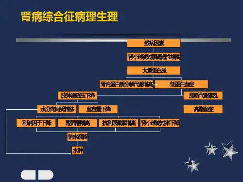 肾病综合征病理生理【精品课件】