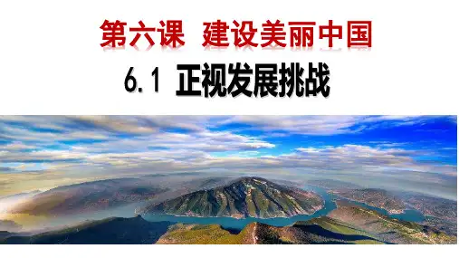 6.1《正视发展挑战》课件精品-统编版道德与法治九年级上册
