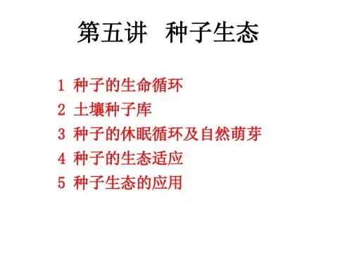 第五讲 种子生态