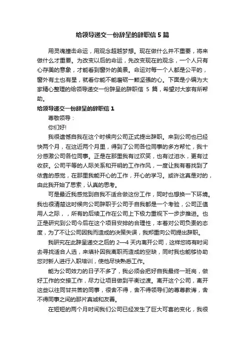 给领导递交一份辞呈的辞职信5篇