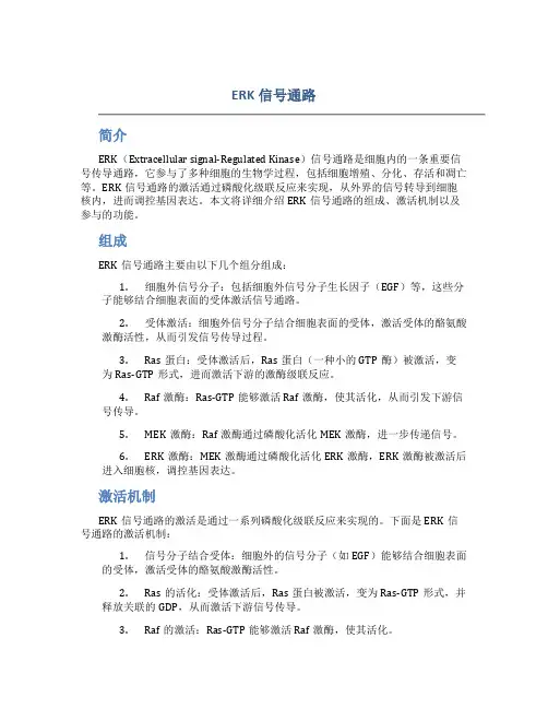 erk信号通路