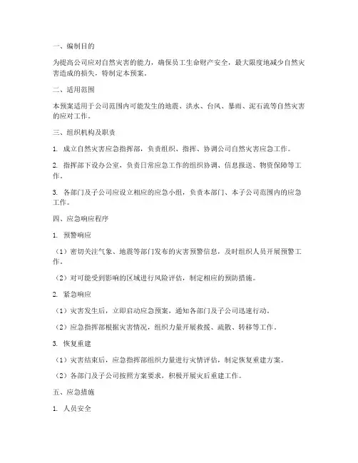公司自然灾害专项应急预案