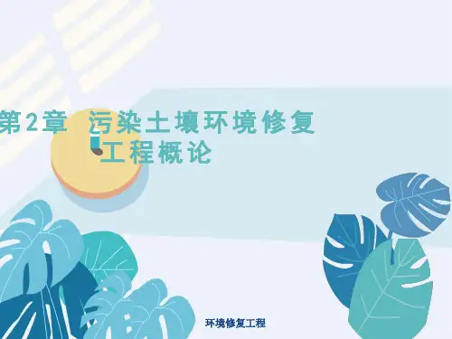 环境修复工程第2章-污染土壤环境修复工程概论
