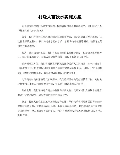 村级人畜饮水实施方案