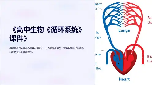 《高中生物《循环系统》课件》