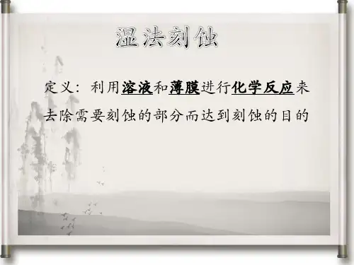 湿法刻蚀_精品文档