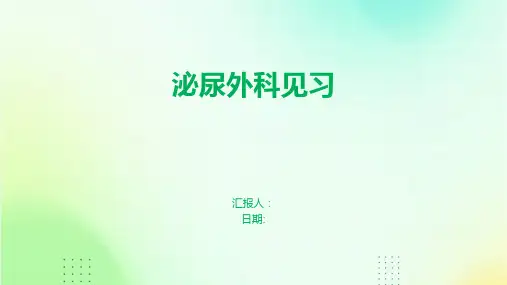 泌尿外科见习