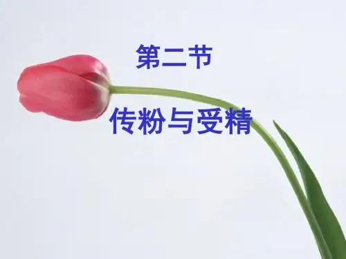【初中生物】传粉与受精ppt1