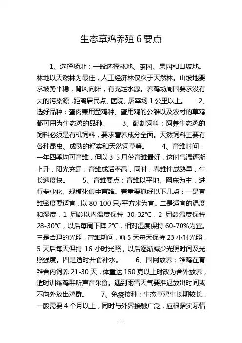 生态草鸡养殖6要点