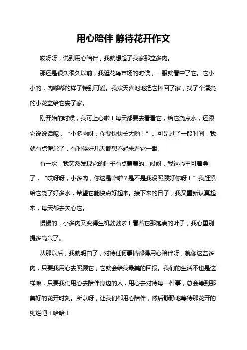 用心陪伴 静待花开作文