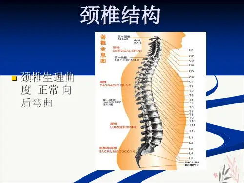 颈椎病预防与保健PPT课件