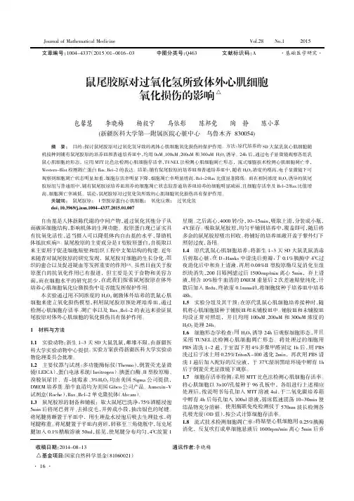 鼠尾胶原对过氧化氢所致体外心肌细胞氧化损伤的影响