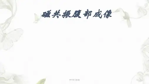 磁共振腹部成像ppt课件
