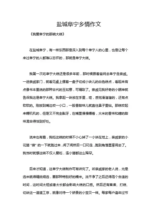 盐城阜宁乡情作文