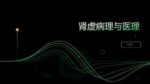 肾虚病理与医理