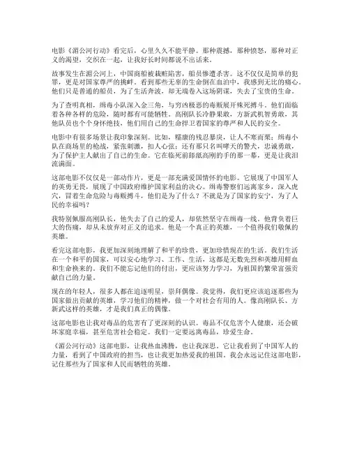《湄公河行动》观后感800字