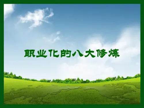 职业化的八大修炼