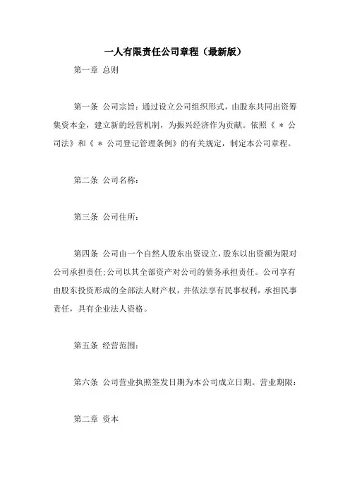 一人有限责任公司章程(最新版)