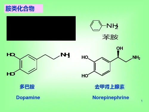 有机化学   有机化学  胺和生物碱PPT课件
