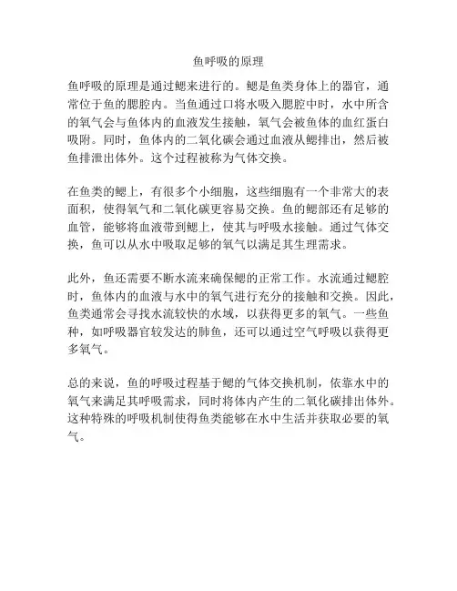 鱼呼吸的原理
