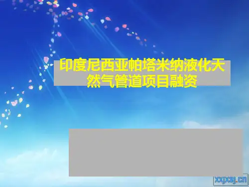 《项目融资案例分析》PPT课件