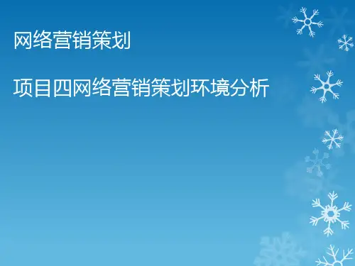 网络营销策划环境分析课件