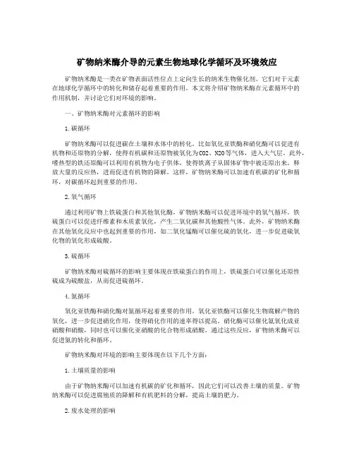矿物纳米酶介导的元素生物地球化学循环及环境效应