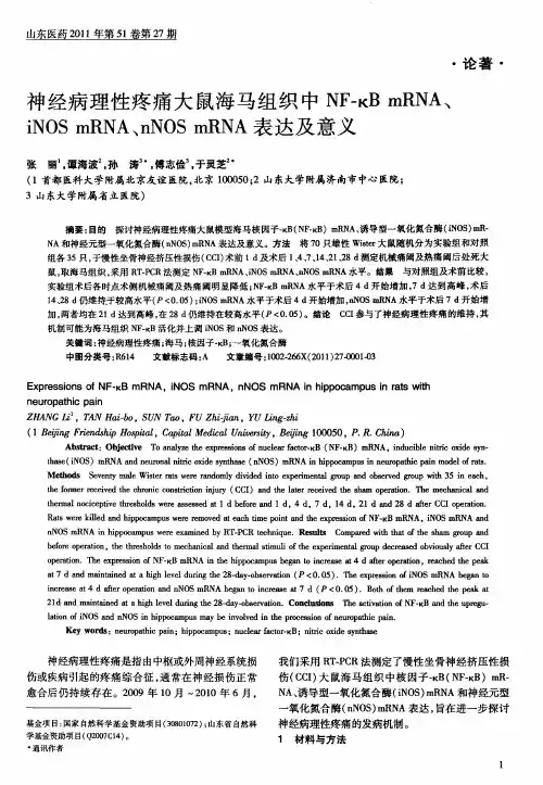 神经病理性疼痛大鼠海马组织中NF-κBmRNA、iNOSmRNA、nNOSmRNA表达及意义