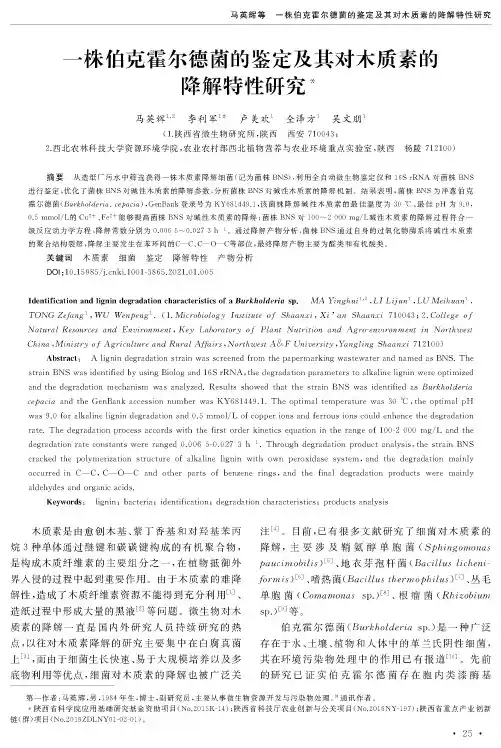 一株伯克霍尔德菌的鉴定及其对木质素的降解特性研究