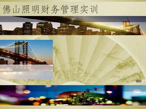 佛山照明财务报表分析
