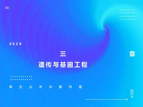生物遗传与基因工程
