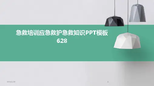 2024版急救培训应急救护急救知识PPT模板628[1]